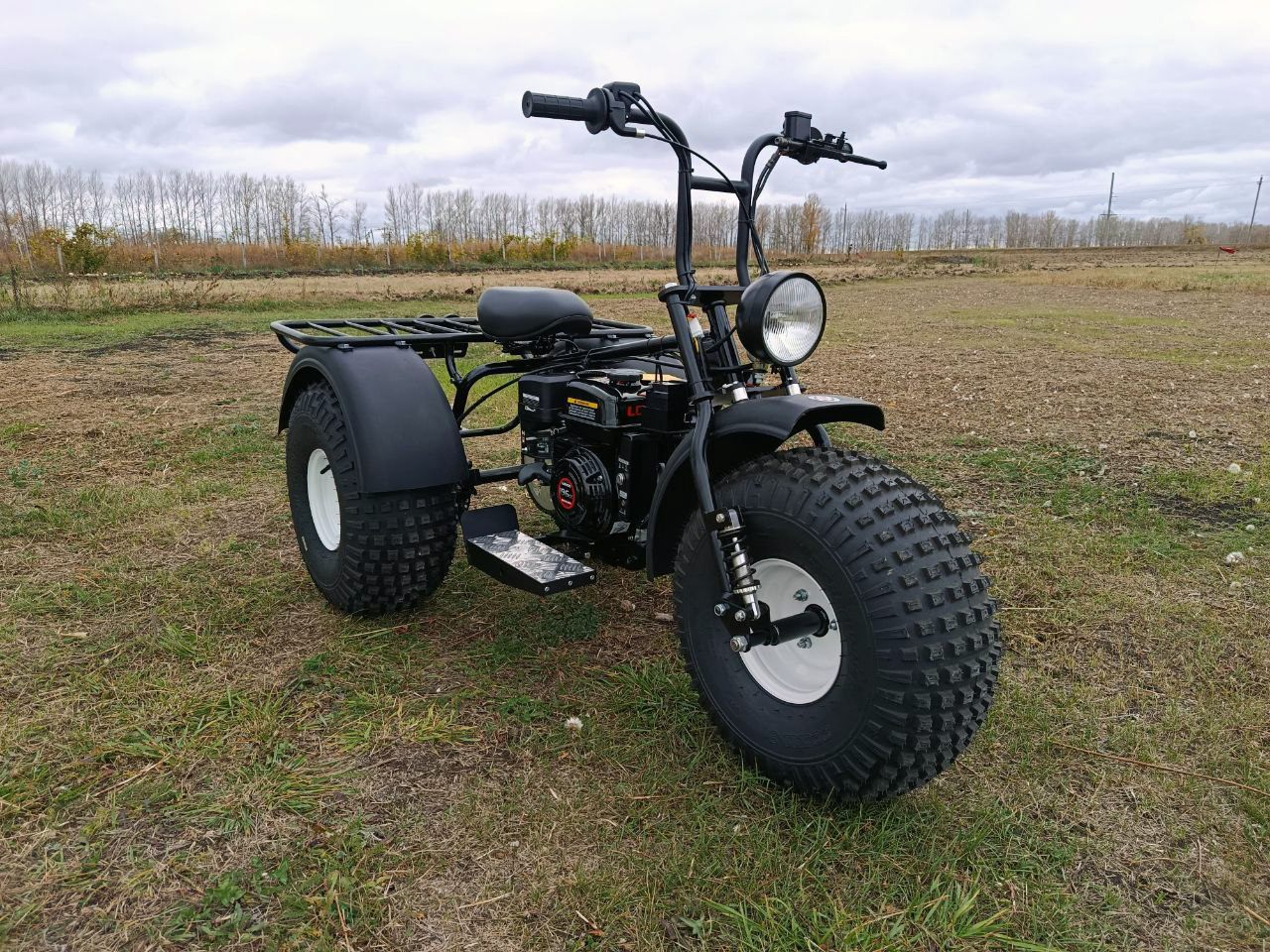 <span style="font-weight: bold;">Трайк Dominator Pro</span>